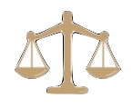 experiencia litig